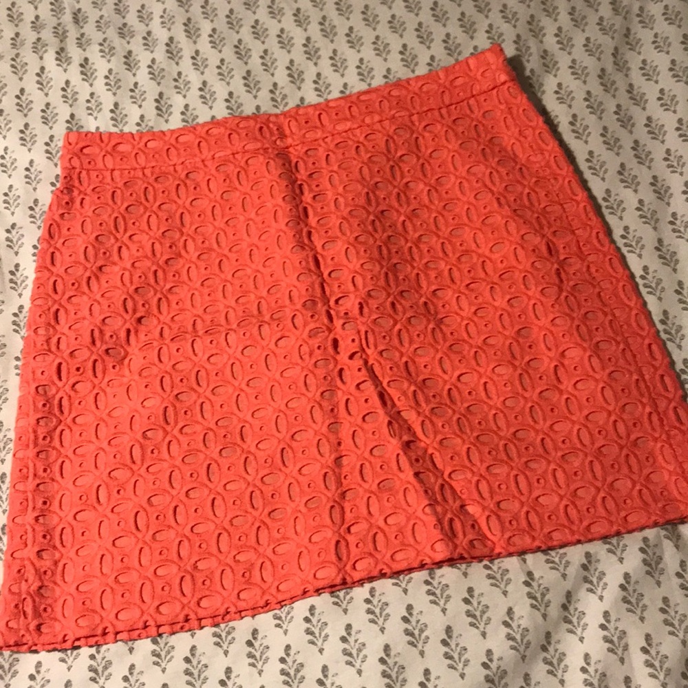 J Crew Skirt